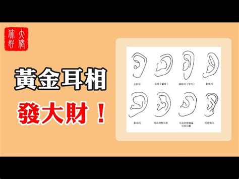 龍耳面相|耳朵藏財運玄機 面相學曝龍耳、鼠耳一生富貴